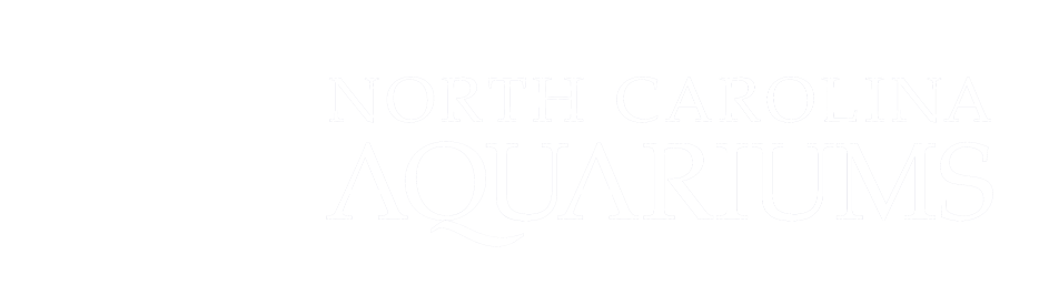 A long white logo for NC Aquarium featuring two fish