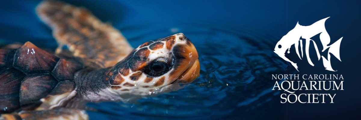 North Carolina Aquarium Society